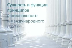 Сущность, функции принципов национального, международного права